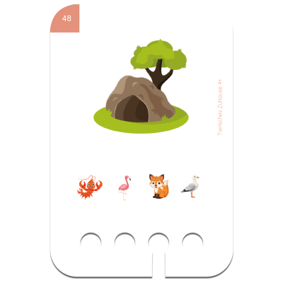 4_tierisches_zuhause_beispiel1_