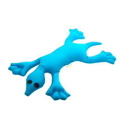 gewichtstier_schildkrote2_600x600